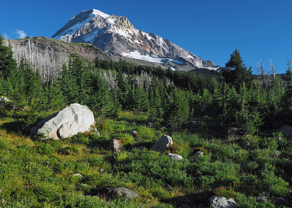Basin View Ridge Cairn Basin & Eden Park from Vista Ridge (Aug 28) - Oregon Hikers
