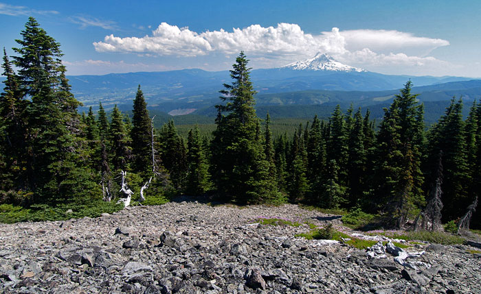 Defiance Ridge Oregon Defiance. 8/3/10 - Oregon Hikers